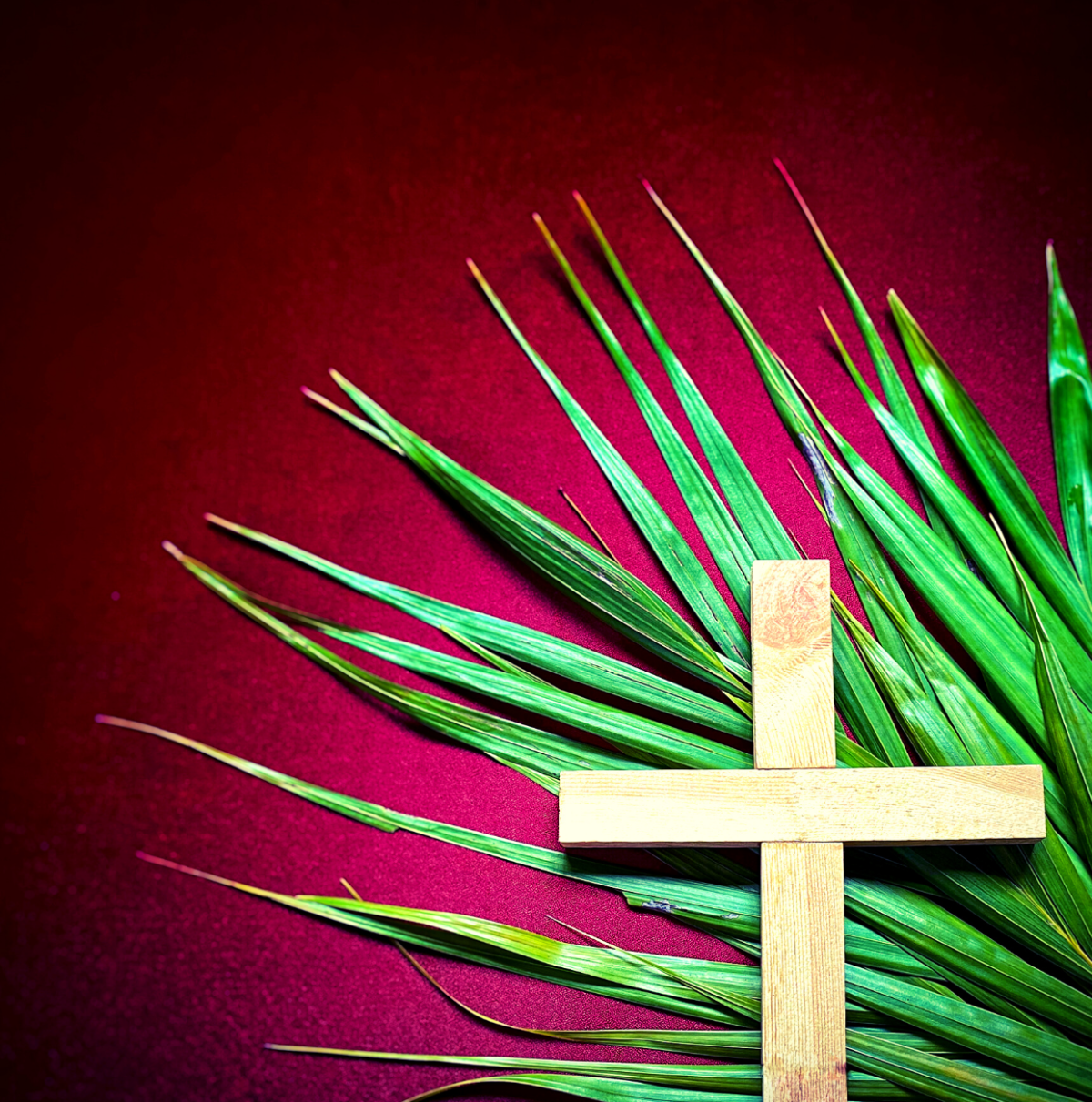 What does Hosanna mean and why do we say it on Palm Sunday ...