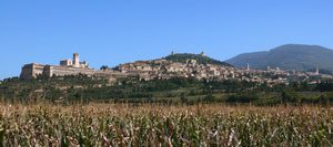 assisi