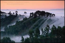 fog