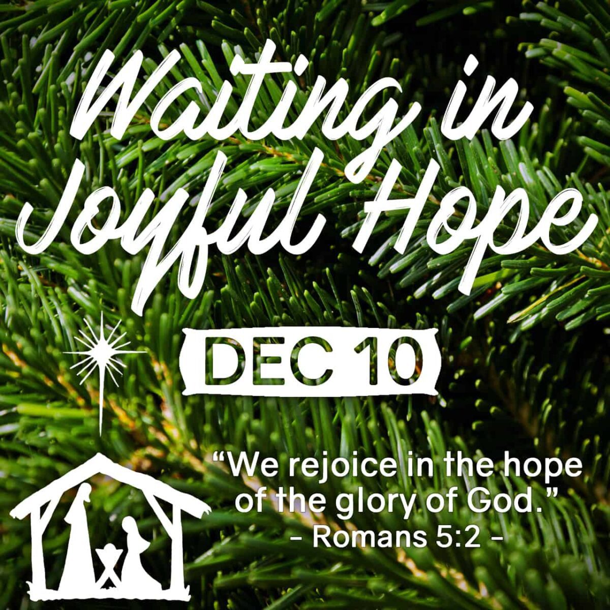 Waiting in joyful hope diocese of orlando florida
